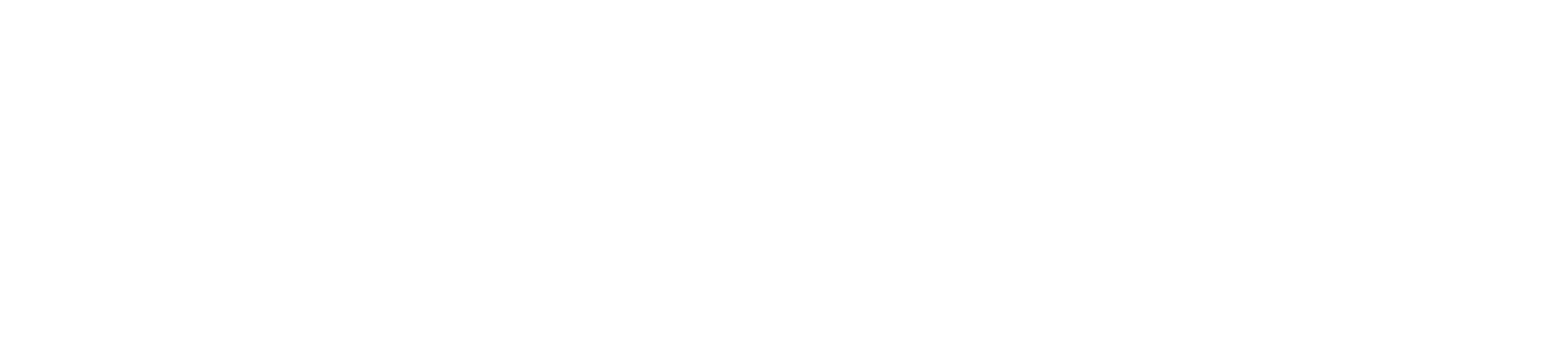FMG Leading